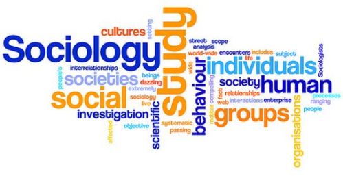 sociology_wordle