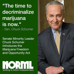Schumer-introduces-Marijuana-Freedom-and-Opportunity-Act